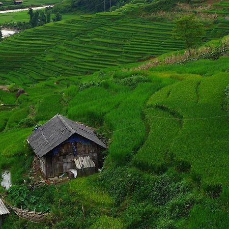 Freedom Homestay & Trekking 萨帕 外观 照片