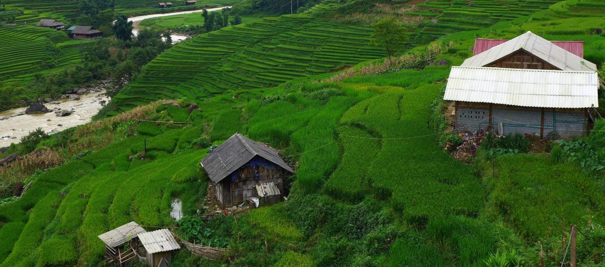 Freedom Homestay & Trekking 萨帕 外观 照片