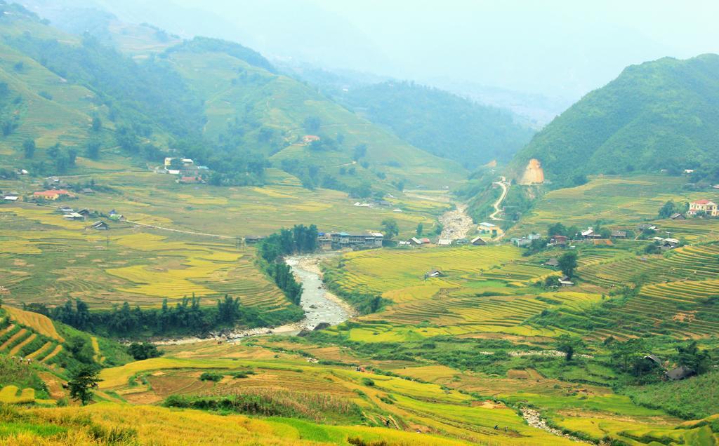 Freedom Homestay & Trekking 萨帕 外观 照片