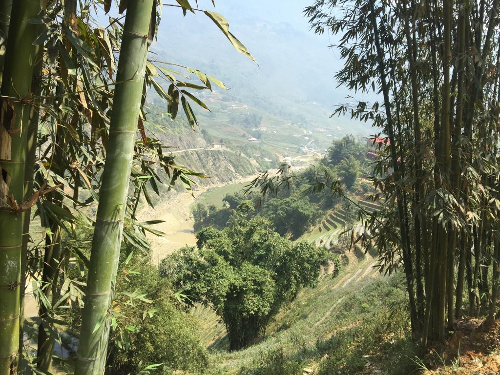 Freedom Homestay & Trekking 萨帕 外观 照片