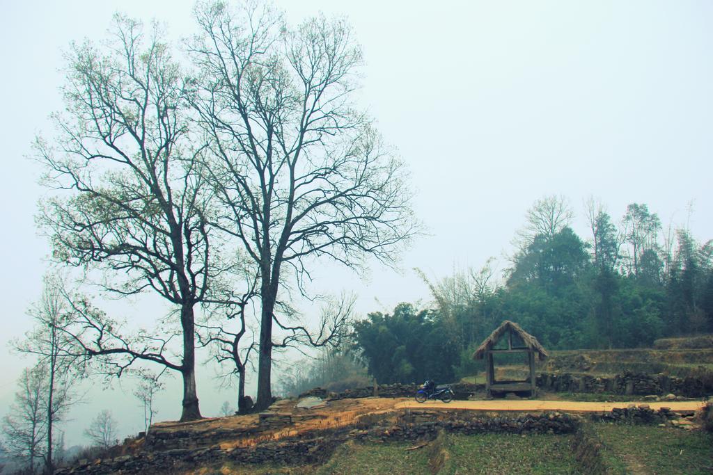 Freedom Homestay & Trekking 萨帕 外观 照片