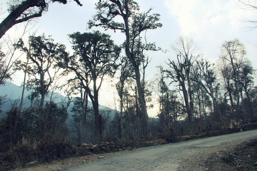 Freedom Homestay & Trekking 萨帕 外观 照片