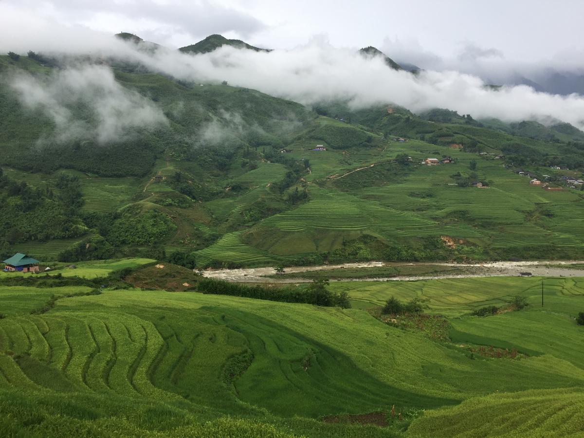 Freedom Homestay & Trekking 萨帕 外观 照片
