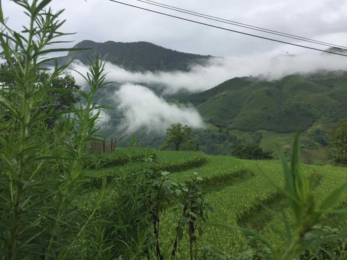 Freedom Homestay & Trekking 萨帕 外观 照片