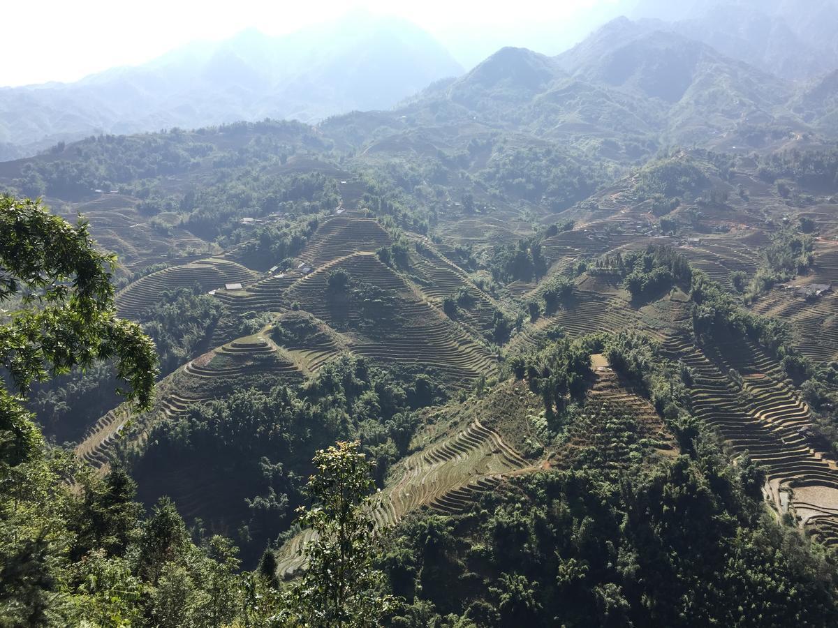 Freedom Homestay & Trekking 萨帕 外观 照片