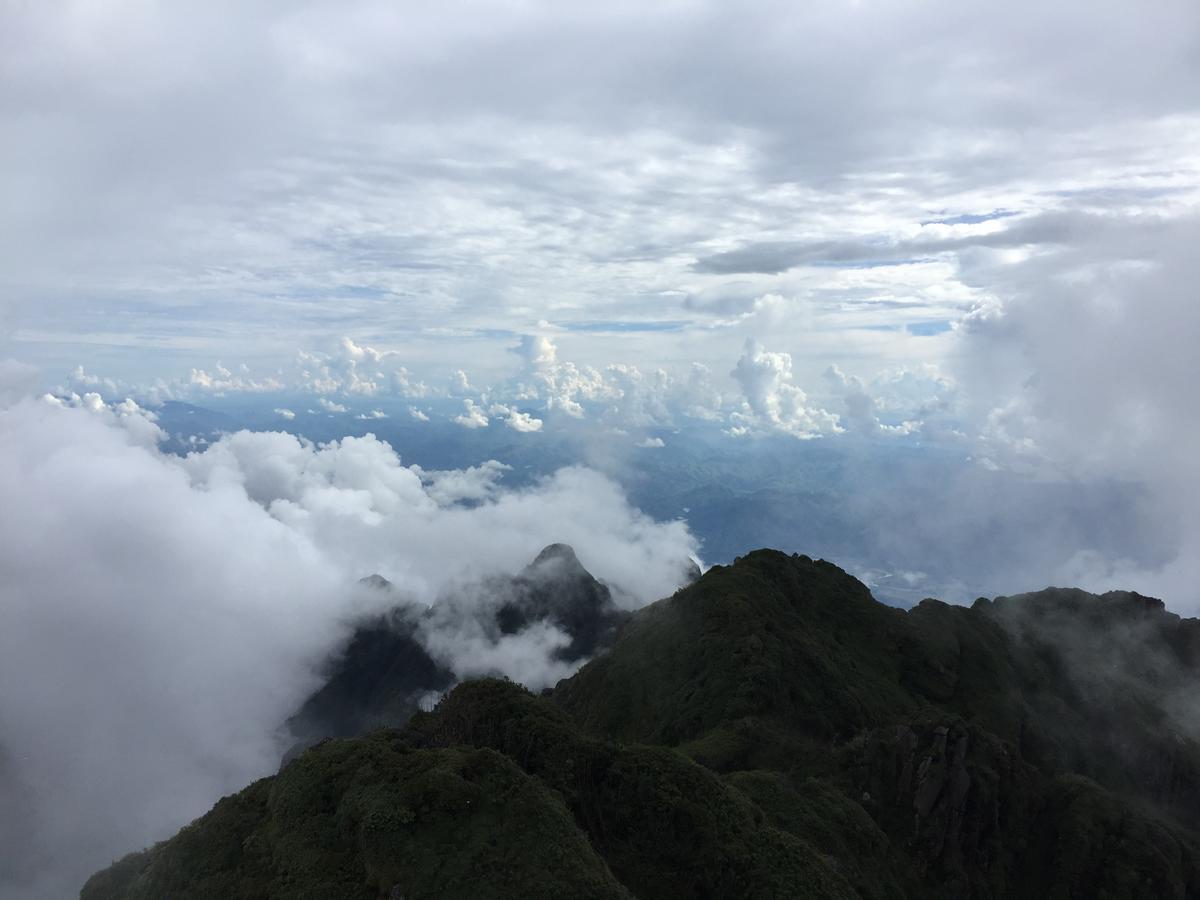 Freedom Homestay & Trekking 萨帕 外观 照片